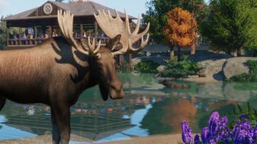 Update 1.7 and North America Animal Pack Out Now!