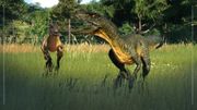 Species Field Guide - Velociraptor