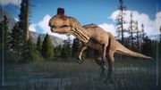 Species Field Guide - Cryolophosaurus