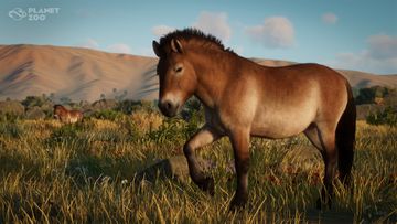 Conservation Pack Screenshot - Przewalski's Horse
