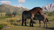 Conservation Pack Screenshot - Przewalski's Horse 2