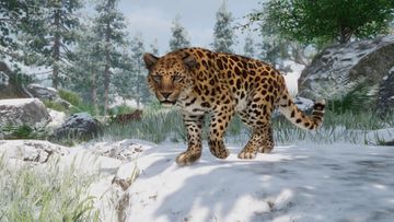 Conservation Pack Screenshot - Amur Leopard